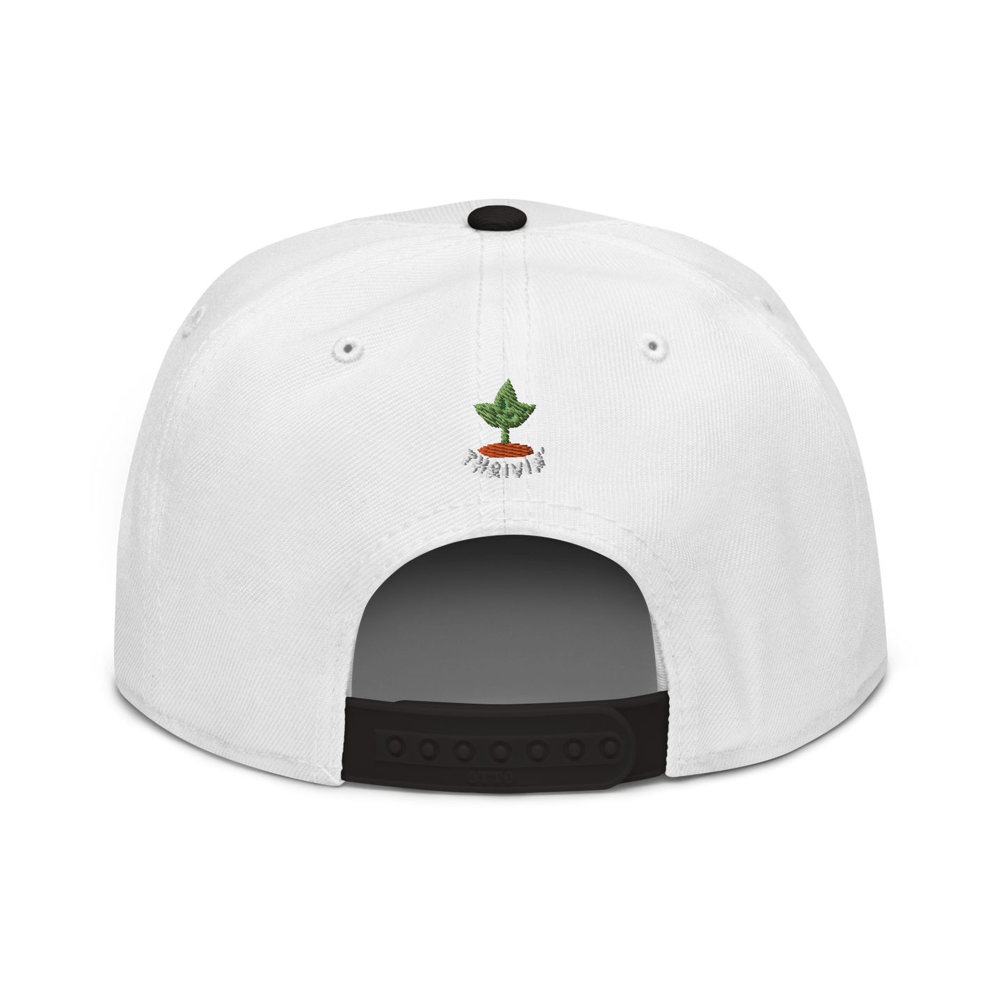 Beets Snapback