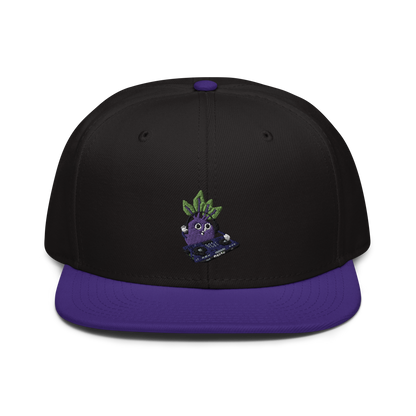 Beets Snapback